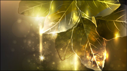 Symphony leaves vector material
