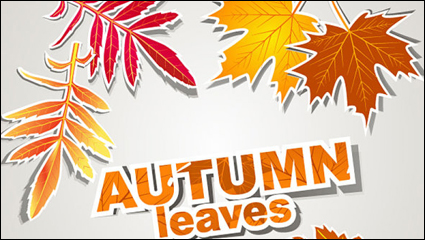 Leaves tags 001 - vector material