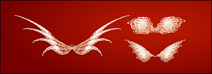 Vector lines wings
