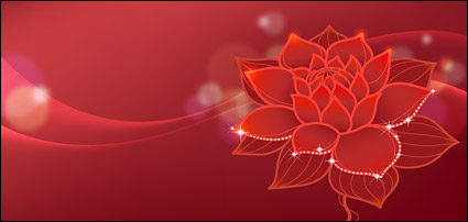 Lotus Dreams