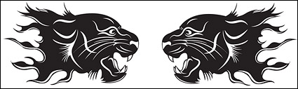 Tiger Vector
